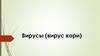Вирусы. Вирус кори