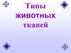 Типы животных тканей
