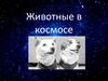 Животные в космосе