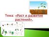 Рост и развитие растений