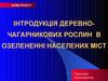 Інтродукція деревночагарникових рослин в озелененні населених міст