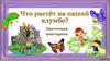 Что растёт на нашей клумбе?