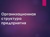 Организационная структура предприятия