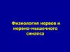 Физиология нервов и нервно-мышечного синапса