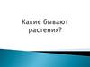 Какие бывают растения