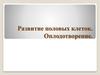 Развитие половых клеток. Оплодотворение