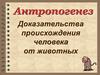 Антропогенез. Доказательства происхождения человека от животных