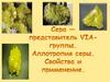 Сера — представитель VIA-группы. Аллотропия серы. Свойства и применение