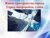 Живое пространство города. Город, микрорайон, улица