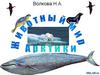 Животный мир Арктики