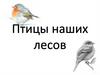 Птицы лесов