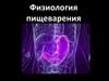 Физиология пищеварения