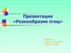 Разнообразие птиц