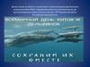 Всемирный день китов и дельфинов