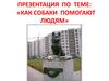 Как собаки помогают людям