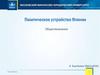 Политическое устройство Японии Обществознание
