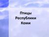 Птицы Республики Коми