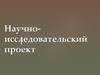 Научноисследовательский проект. Изучение социальных процессов