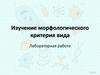 Морфологический критерий вида. Сходство внешнего и внутреннего строения особей