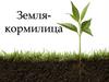 Земля - кормилица