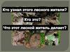 Лесной житель