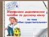 Электронное дидактическое пособие «Имя существительное»