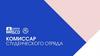 Комиссар студенческого отряда
