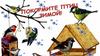 Покормите птиц зимой!
