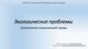 Экологические проблемы. Загрязнения окружающей среды
