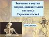 Значение опорно-двигательной системы. Строение костей. 8 класс