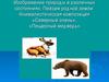 Изображение природы в различных состояниях. Пейзаж родной земли. Анималистическая композиция