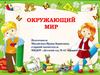 Окружающий мир