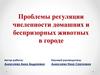 Проблемы регуляции численности домашних и беспризорных животных в городе