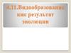 Видообразование как результат эволюции