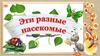 Игра "Эти разные насекомые"