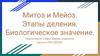 Митоз и Мейоз. Этапы деления. Биологическое значение