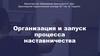 Организация и запуск процесса наставничества