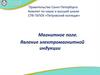 Магнитное поле. Явление электромагнитной индукции