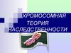 Хромосомная теория наследственности
