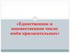 Единственное и множественное число имён прилагательных