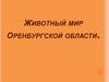 Животные Оренбургской области