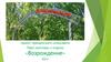 Парк культуры и отдыха «Возрождение». Проект Орешенского сельсовета