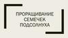 Проращивание семечек подсолнуха