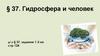 Гидросфера  и человек