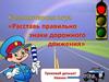 Компьютерная игра "Расставь правильно знаки дорожного движения"