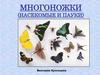 Многоножки (насекомые и пауки)