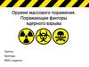 Оружие массового поражения. Поражающие факторы ядерного взрыва