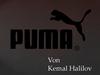 Die Puma SE ist ein Industrieunternehmen in Deutschland