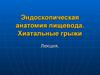 Эндоскопическая анатомия пищевода, хиатальные грыжи