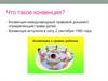 Что такое конвенция?